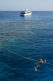English: A boat is moored to the coral reef in the Red Sea, near Hurghada.