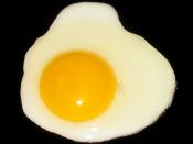 A fried egg, sunny side up.