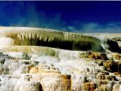 Terraced mineral deposits beneath Canary Spring at Yellowstone National Park