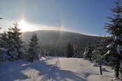 English: Jizera Mountain in winter with solar halo effect Česky: Hora Jizera se slunečním halo efektem