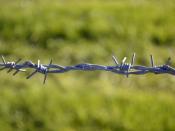 English: Ex-Iron Curtain barbed wire.