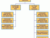 English: Organizational chart of U.S. Navy type commands.