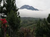 Mt. Apo, The Grandfather of 'Philippine Mountains'