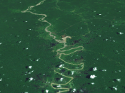 English: NASA World Wind image of Ok Tedi River