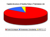 SKM Capital Structure
