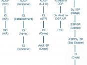Organizational structure of UPP.