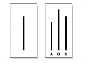 One of the pairs of cards used in the experiment. The card on the left has the reference line and the one on the right shows the three comparison lines.