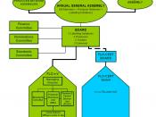 FLO Organizational Structure