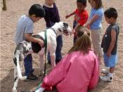 Work of a therapy dog: Stella visited her foster kids school to educate the kids about caring for animals and about handicaps. She had a blast!!!