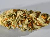 English: Close up shot of some high quality marijuana.