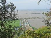 Rizières inondées à la frontière entre le Vietnam et le Cambodge