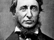 English: Portrait by Benjamin D. Maxham (daguerreotype), black and white of Henry David Thoreau in June 1856. The writer-collar post a beard and is dressed in a black frock coat, a white shirt and a black bow tie. Français : Portrait par Benjamin D. Maxha