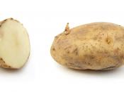 1 and a half russet potato with sprouts. Sliced (left) and whole (right). About 4 1/2 inches (11.5 cm) in length.