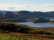 Hoopers Inlet, Papanui Inlet, and sheep