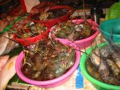 Lobster at a seafood market in the Philippines.