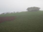 English: Nyrs Fawr Dolgadfan Taken on a misty day. The name of the hillside translates as 