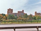 Spaulding and Wilkeson Quad at SUNY Buffalo