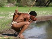 English: Bushman drinking water from pan