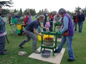 English: Apple juicing, Colwall cricket pitch A day of apples. Participants were encouraged to bring their surplus apples in decorated wheelbarrows for a parade to the cricket ground. Here the apples were chopped up and then pressed to extract the juice w