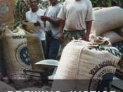 Brewing Justice: Fair Trade Coffee, Sustainability and Survival