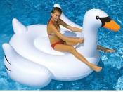 Amazon.com: International Leisure Giant Swan: Patio, Lawn & Garden outdoor wicker is a favorite of ours! So is this find by K8E.