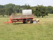 English: Water supply for sheep, Shelf. There are often drinking troughs in fields, but in this case a portable water supply has been provided. Presumably the farmer ops up the trough from time to time.