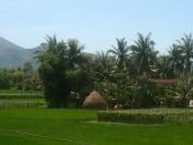 English: farm in Binh Dinh Province, Vietnam