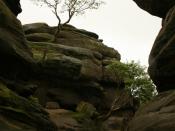 English: Brimham Rocks This formation really gives the impression of flowing water eroding the rocks.