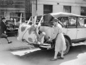 A papier-mache cow on Mrs Mellor’s car, 1944