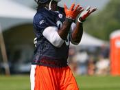 English: Devin Hester at the Chicago Bears 2007 Training Camp.