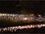 'Field of Light' by Bruce Munro -- Small Lake at Longwood Gardens (PA) June 29, 2012