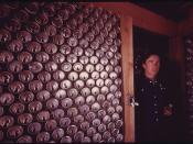 Empty Steel Beer and Soft Drink Cans Are Being Used to Build Experimental Housing near Taos, New Mexico. Designer Michael Reynolds Stands Next to an Interior Wall in One of the Structures.  The Inside Walls Are Built with Cans in the Position Shown.