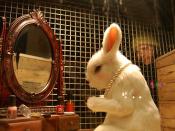 Color Cosmetics Rabbit