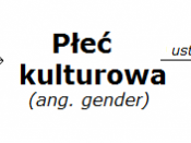 English: Judith Butler's heterosexual matrix. Polski: Matryca heteroseksualna wg Judith Butler.