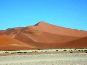 Complex dune: Dune 7 in the Namib desert, one of the tallest in the world.