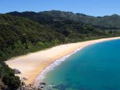 Totaranui is a 1 km long beach and the site of a large campsite located in Abel Tasman National Park.