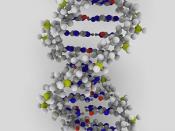 DNA rendering