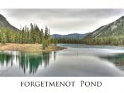 Forgetmenot Pond, Alberta    Explored