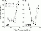 English: Baseline Cochlear Thresholds Are Elevated in Mutant Ears, as Measured by either ABRs (A) or DPOAEs (B) Mean group values ± S.E.M. are shown and numbers of ears measured in each group are indicated in the key in (A). ABR thresholds were identified