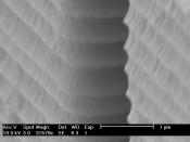 English: Scanning electron micrograph of the undulating sidewall of a silicon structure fabricated using photolithography and deep reactive-ion etching (Bosch process)