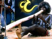 A didgeridoo player in Arnhem Land, 1981.