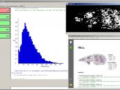 GemIdent analyzing results using data analysis and visualization tools