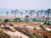 English: Sand dunes near the sea, Gush Katif, Gaza Strip.
