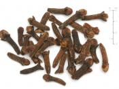 Dried cloves