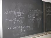 Blackboard used in class at Harvard shows students' efforts at placing the ü and acute accent diacritic used in Spanish orthography.