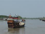 Boat Catching Fish Snap While Going to Kuakata from Barisal, Bangladesh
