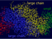 Figure 3. In this figure, each protein chain in the (LS) 2 complex is given its own color for easy identification.
