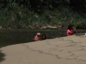 Bahasa Melayu: Mereka mandi di Sungai Tembeling