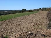 English: A New Gas Pipeline. The edge of this pasture remains bare after the installation of an underground gas pipe.