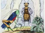English: Illustration of the Aesop's Fable: The Ant and the Grasshopper from Fables of Æsop and others, translated into human nature